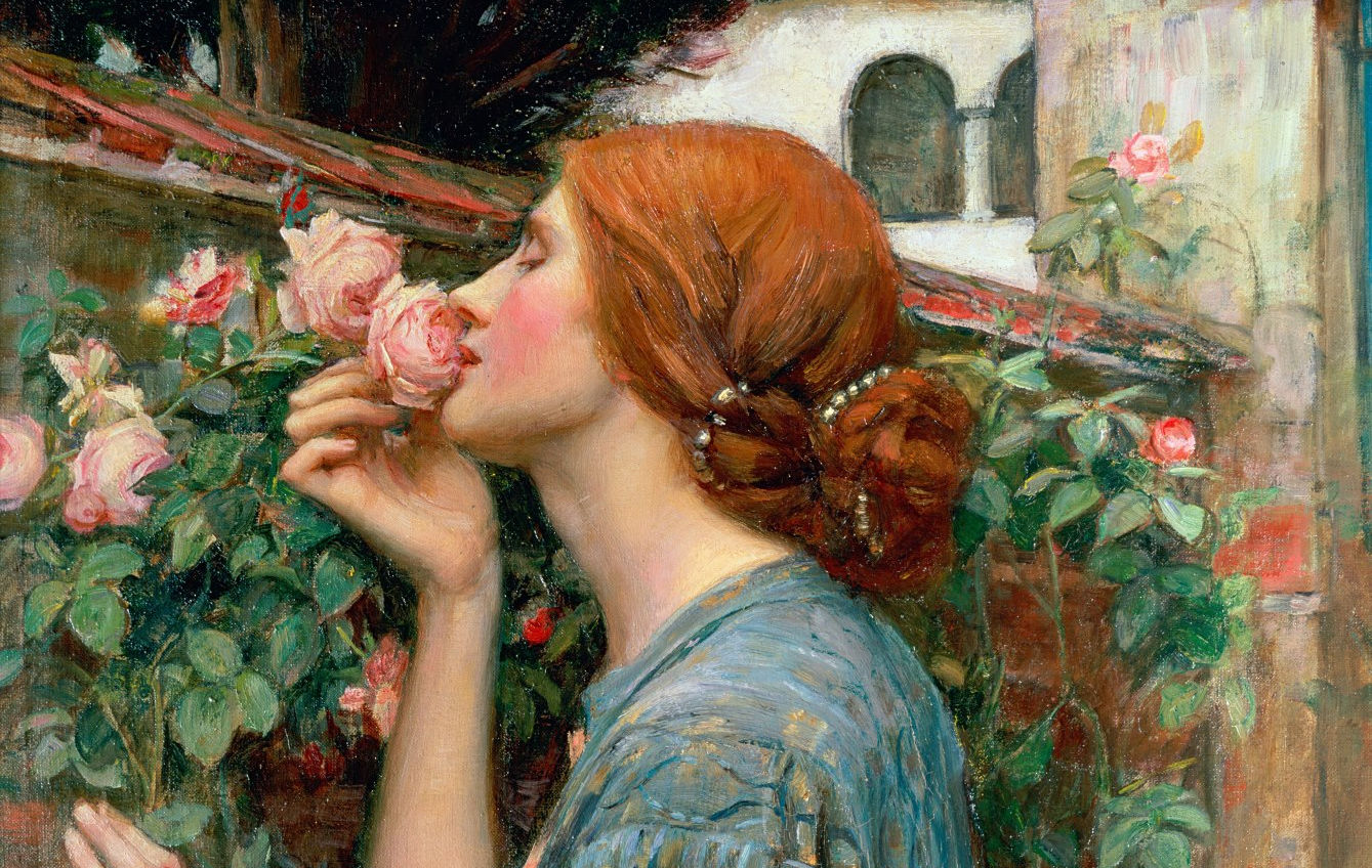The Soul of the Rose Derire cover book